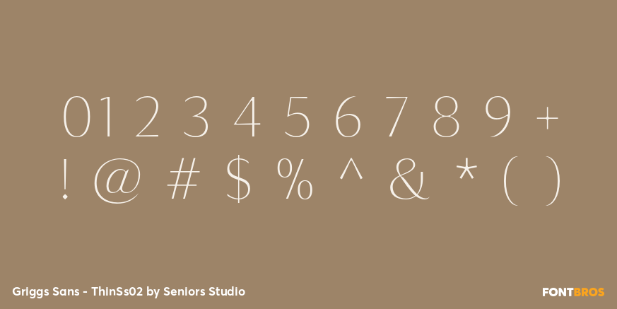 Griggs Sans - ThinSs02 Font Poster #4