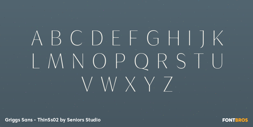 Griggs Sans - ThinSs02 Font Poster #2