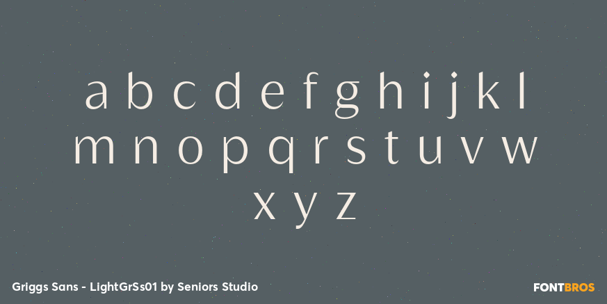 Griggs Sans - LightGrSs01 Font Poster #3