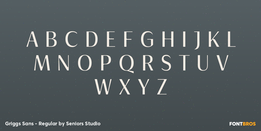 Griggs Sans - Regular Font Poster #2