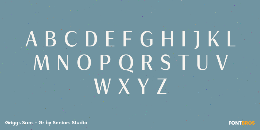 Griggs Sans - Gr Font Poster #2