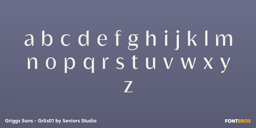 Griggs Sans - GrSs01 Font Poster #3