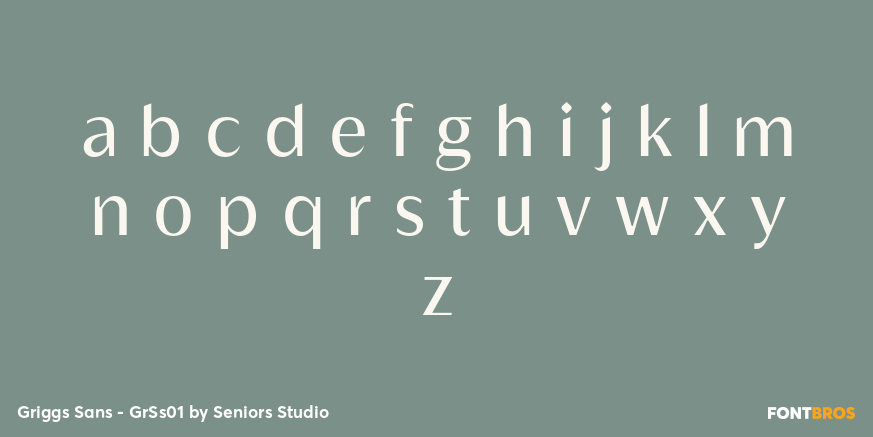 Griggs Sans - GrSs01 Font Poster #3