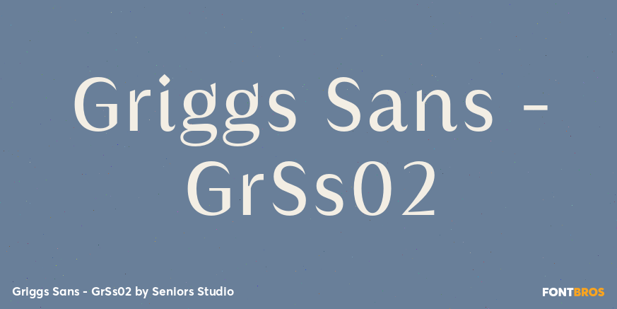 Griggs Sans - GrSs02 Font Poster #1