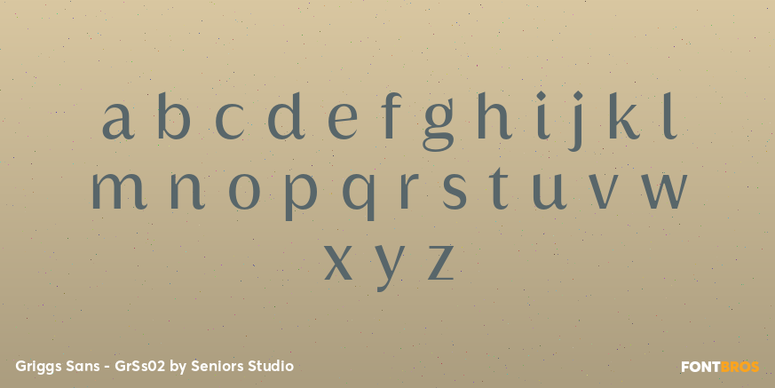 Griggs Sans - GrSs02 Font Poster #3