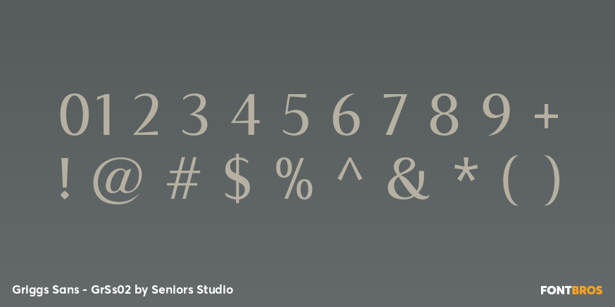 Griggs Sans - GrSs02 Font Poster #4