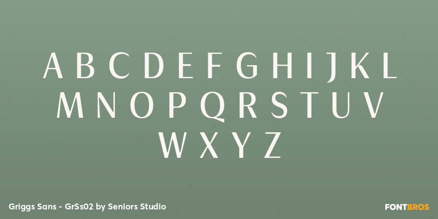 Griggs Sans - GrSs02 Font Poster #1