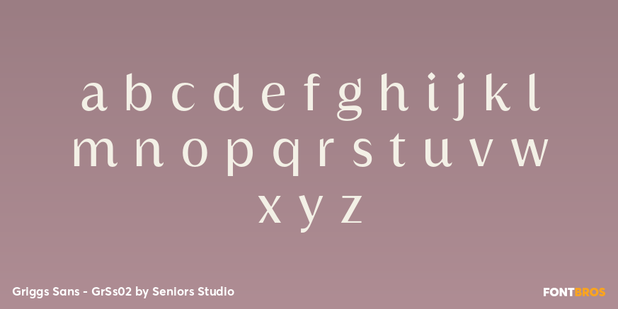 Griggs Sans - GrSs02 Font Poster #1