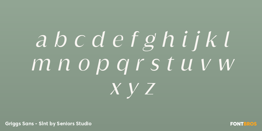 Griggs Sans - Slnt Font Poster #3
