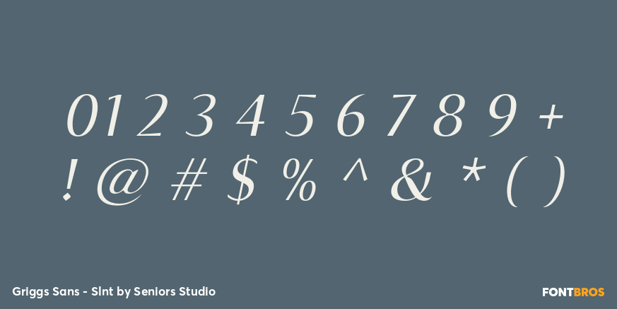 Griggs Sans - Slnt Font Poster #4