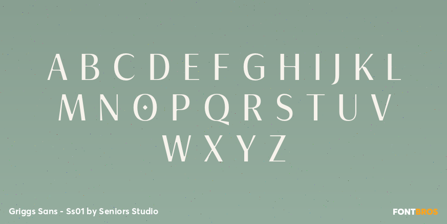 Griggs Sans - Ss01 Font Poster #2