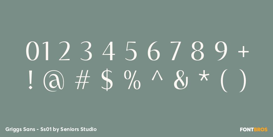 Griggs Sans - Ss01 Font Poster #4