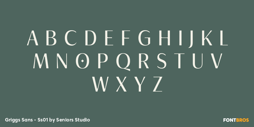 Griggs Sans - Ss01 Font Poster #1