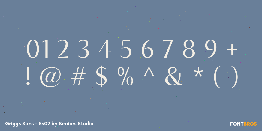 Griggs Sans - Ss02 Font Poster #4