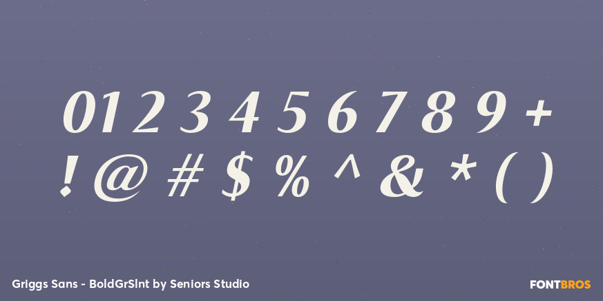 Griggs Sans - BoldGrSlnt Font Poster #1