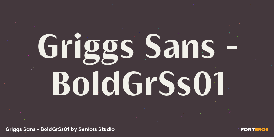 Griggs Sans - BoldGrSs01 Font Poster #1