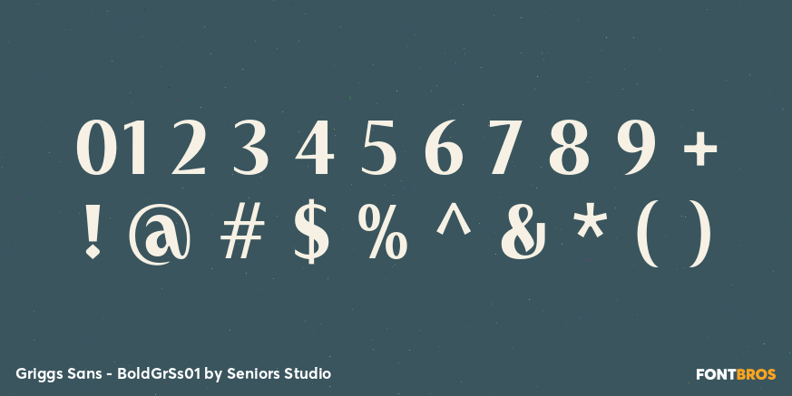 Griggs Sans - BoldGrSs01 Font Poster #4