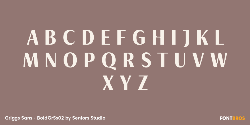 Griggs Sans - BoldGrSs02 Font Poster #2