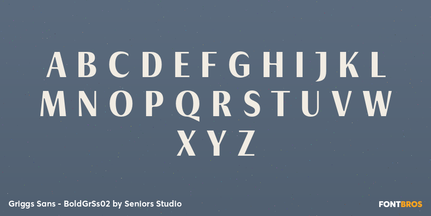 Griggs Sans - BoldGrSs02 Font Poster #1