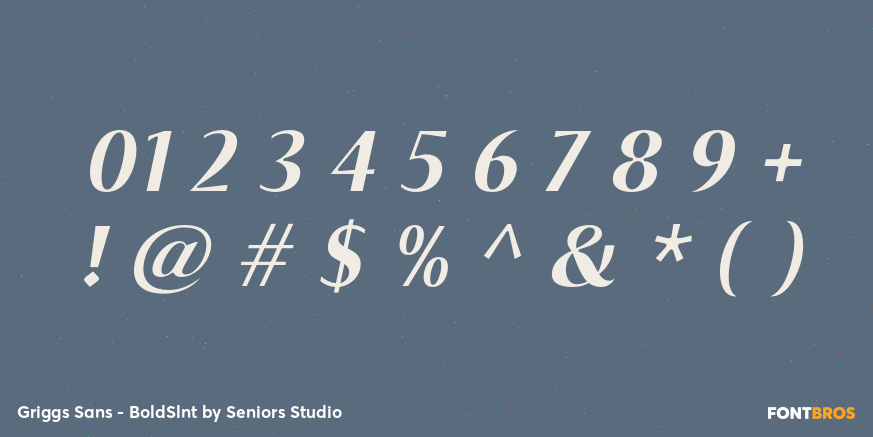 Griggs Sans - BoldSlnt Font Poster #4