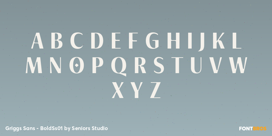 Griggs Sans - BoldSs01 Font Poster #2