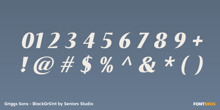 Griggs Sans - BlackGrSlnt Font Poster #1