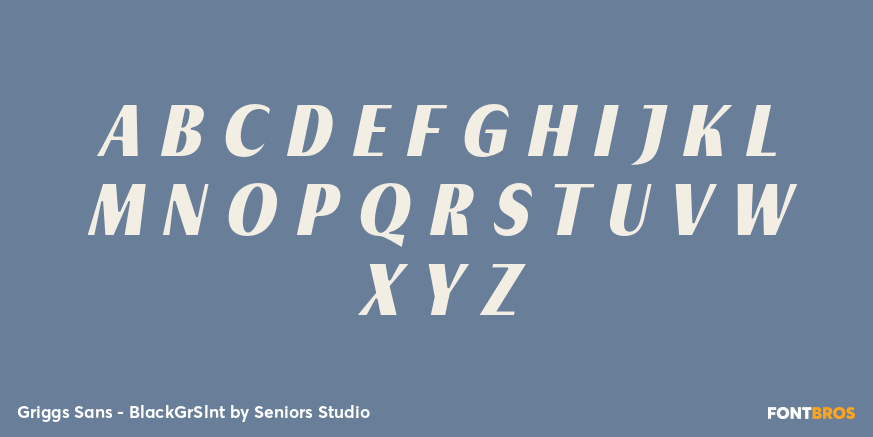 Griggs Sans - BlackGrSlnt Font Poster #1