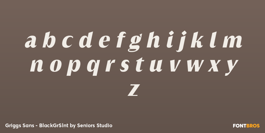 Griggs Sans - BlackGrSlnt Font Poster #1