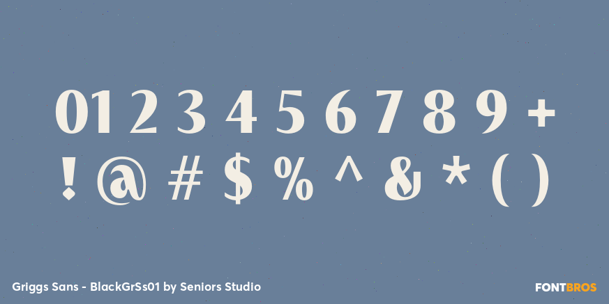 Griggs Sans - BlackGrSs01 Font Poster #4