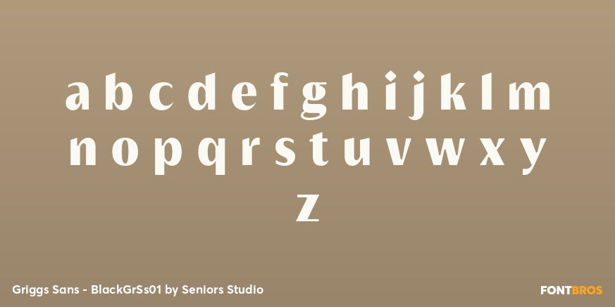 Griggs Sans - BlackGrSs01 Font Poster #3