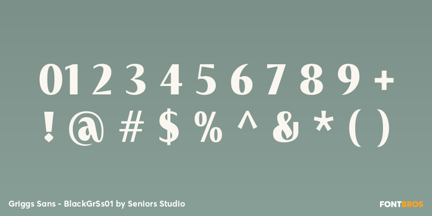 Griggs Sans - BlackGrSs01 Font Poster #4