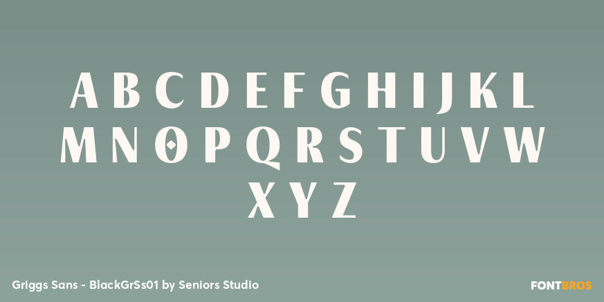 Griggs Sans - BlackGrSs01 Font Poster #2