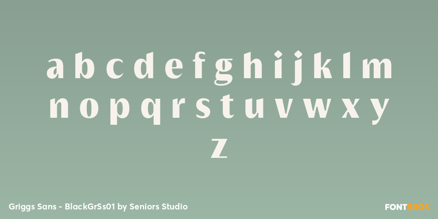 Griggs Sans - BlackGrSs01 Font Poster #3