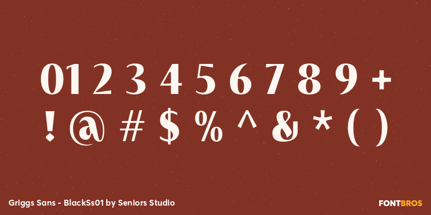 Griggs Sans - BlackSs01 Font Poster #1