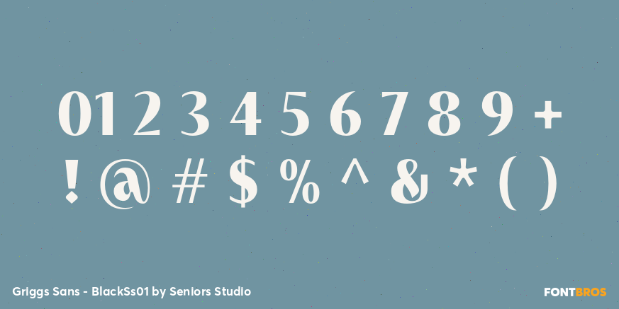 Griggs Sans - BlackSs01 Font Poster #4