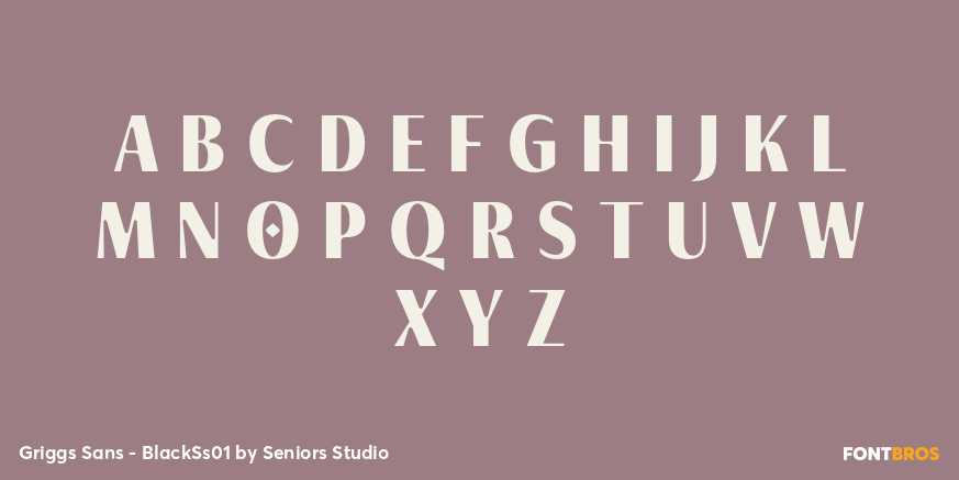 Griggs Sans - BlackSs01 Font Poster #1