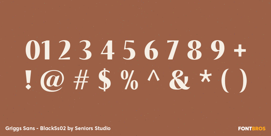 Griggs Sans - BlackSs02 Font Poster #4
