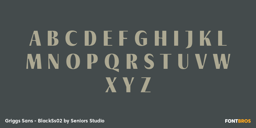 Griggs Sans - BlackSs02 Font Poster #2
