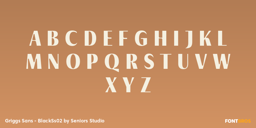 Griggs Sans - BlackSs02 Font Poster #2
