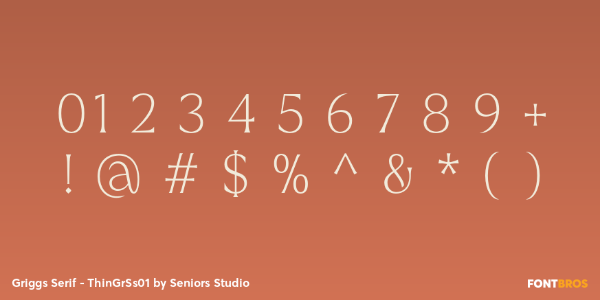 Griggs Serif - ThinGrSs01 Font Poster #4
