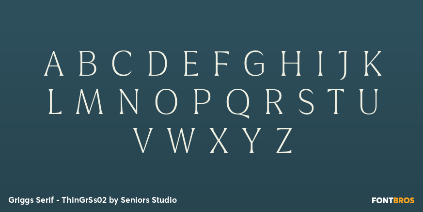 Griggs Serif - ThinGrSs02 Font Poster #2