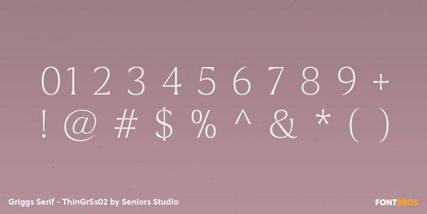 Griggs Serif - ThinGrSs02 Font Poster #4