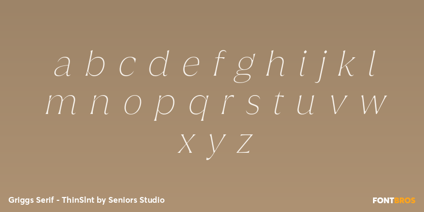 Griggs Serif - ThinSlnt Font Poster #3