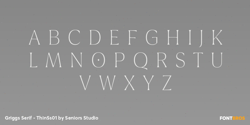 Griggs Serif - ThinSs01 Font Poster #2