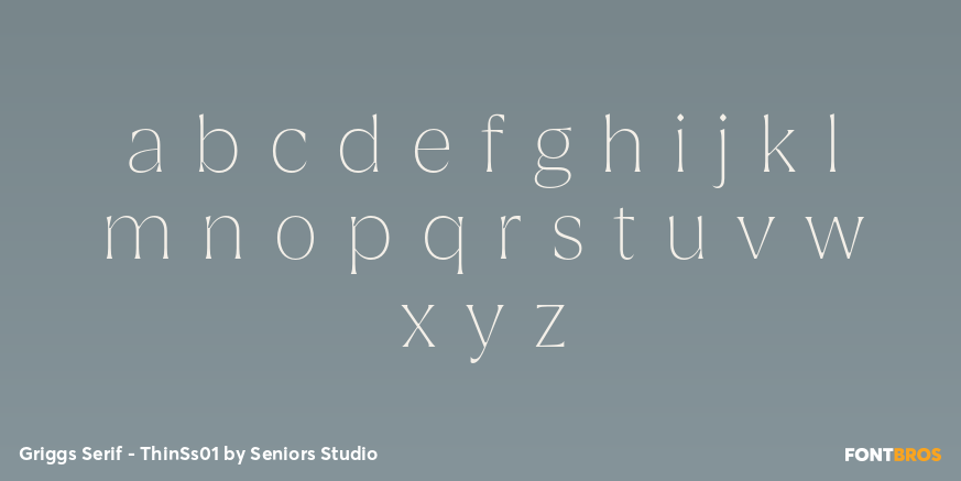 Griggs Serif - ThinSs01 Font Poster #3