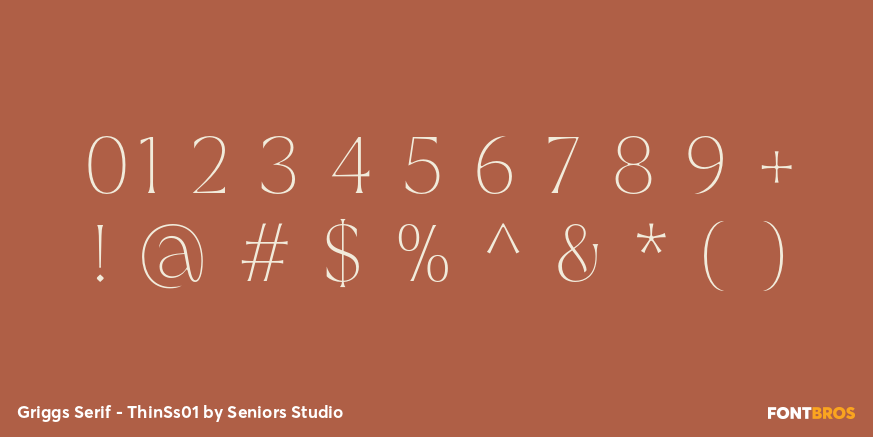 Griggs Serif - ThinSs01 Font Poster #4