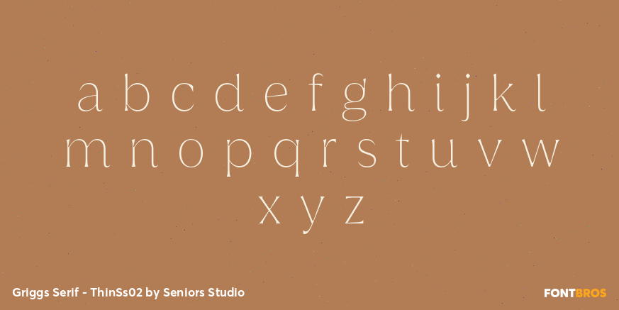 Griggs Serif - ThinSs02 Font Poster #3