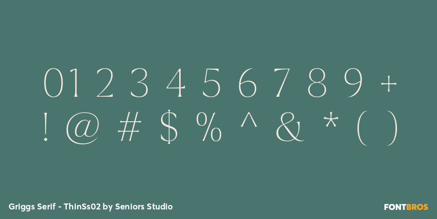 Griggs Serif - ThinSs02 Font Poster #4