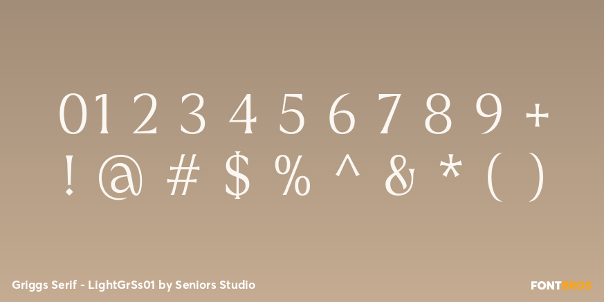 Griggs Serif - LightGrSs01 Font Poster #4