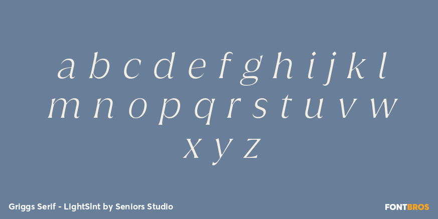 Griggs Serif - LightSlnt Font Poster #3